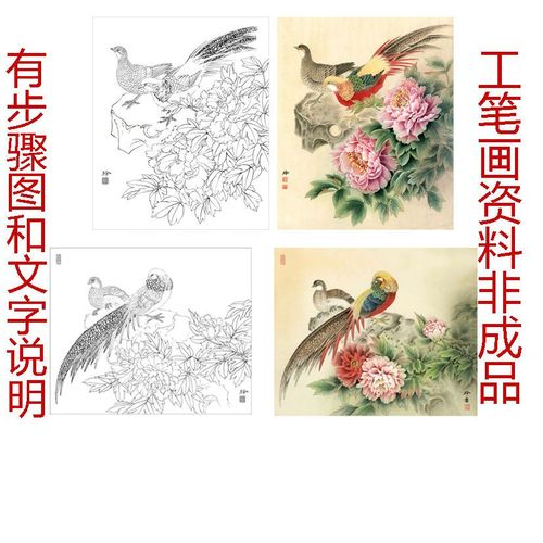 有步骤图工笔画打印白描底稿斗方郑玲玲锦鸡牡丹(两幅)