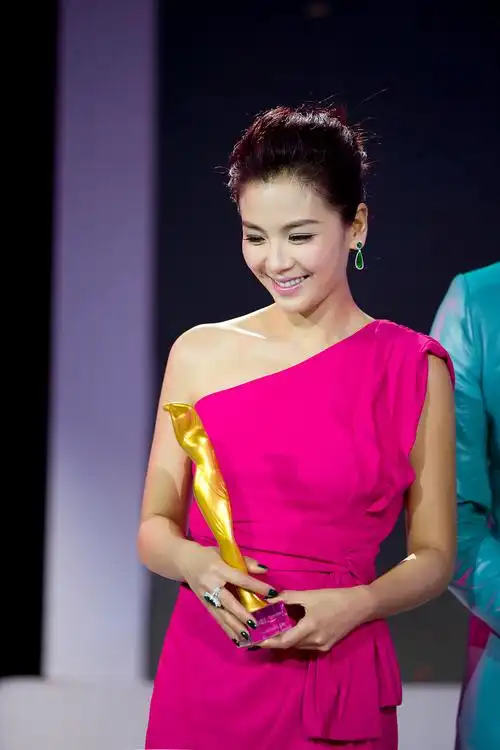 刘涛亮相时尚盛典 女神范十足 - 花雕美图苑 - 花雕美图苑