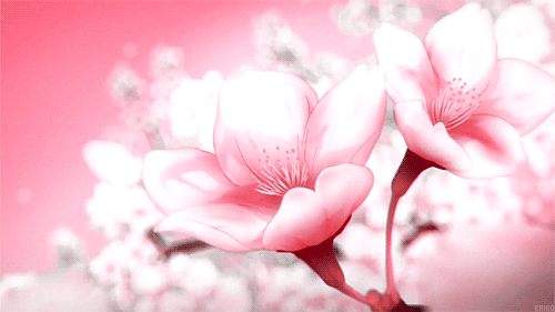 二次元风景# #花# #gif签名档# 图侵删