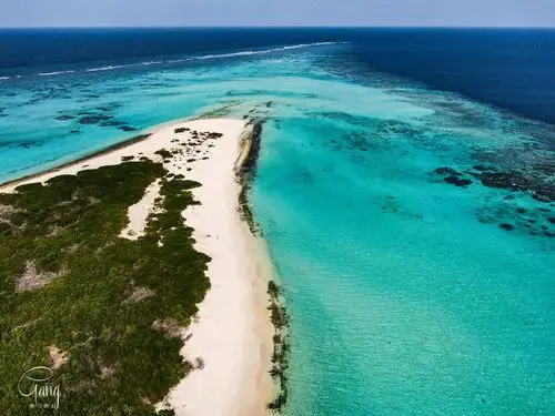 去沙特阿拉伯无人小岛旅行体验最原生态的红海魅力