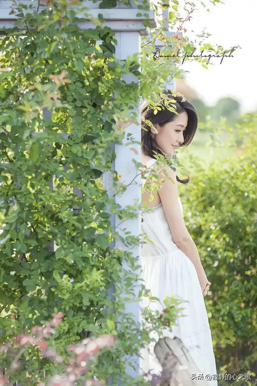 气质清新美女演员张雯壁纸分享(13)_笑容_大自然_女孩子