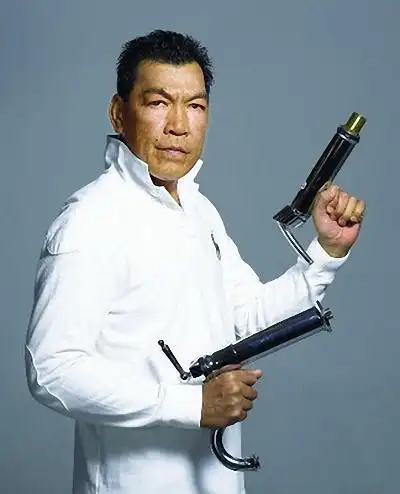 p>成奎安(fui-on shing,1955年2月1日～2009年8月27日),出生于香港