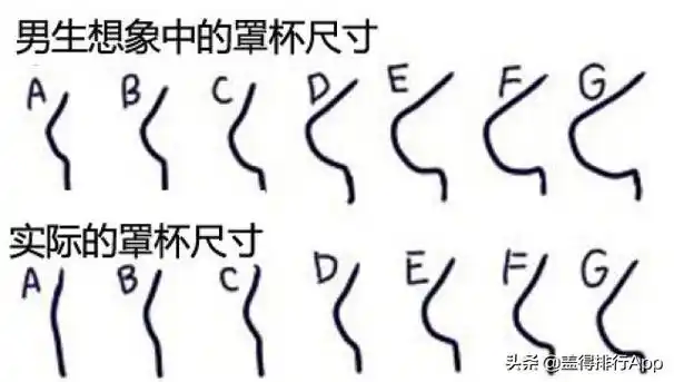 罩杯abcd怎么分大小 d杯有多大参照图-北京百科网