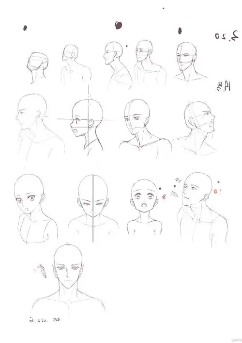 作业:动漫人物头部仰视,俯视的画法训练 - rh-7-177狗子 - 轻微课