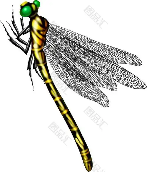 手绘彩铅蜻蜓素材