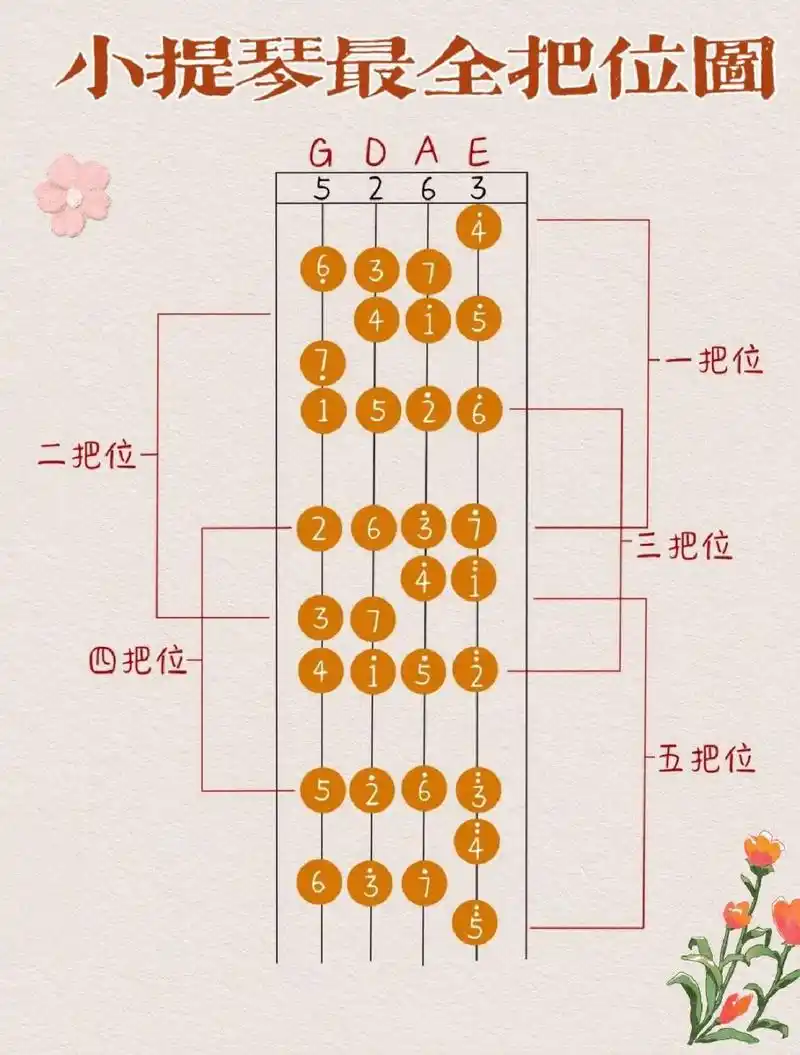 小提琴最全把位图 13年教龄资深小提琴教师,日常分享小提琴乐理知识