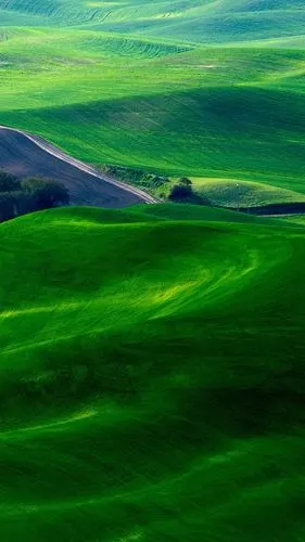 田野,唯美,大自然,风景,手机壁纸,锁屏壁纸梦幻般的绿色田野 手机锁屏