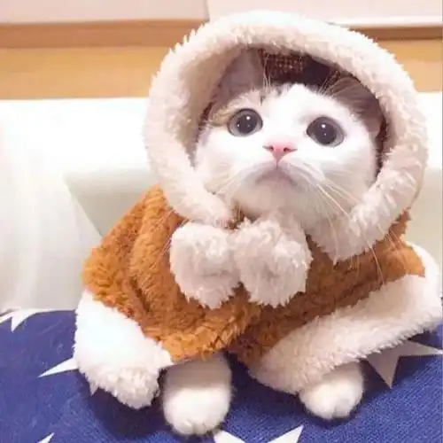 抖音最火的100张微信头像,都在这里!