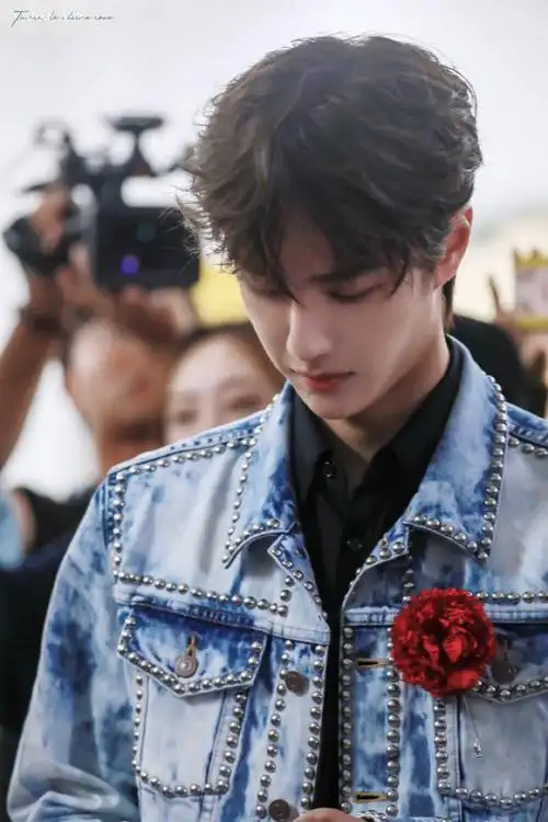 抖音作品王一博红芍药