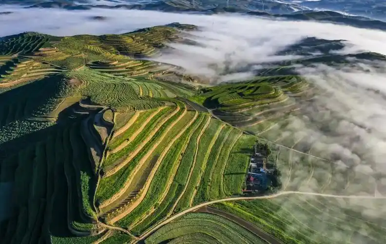 醉美旱塬梯田 盛夏八月,黄土高原上的醉美旱塬山川秀美,景色迷人,空气