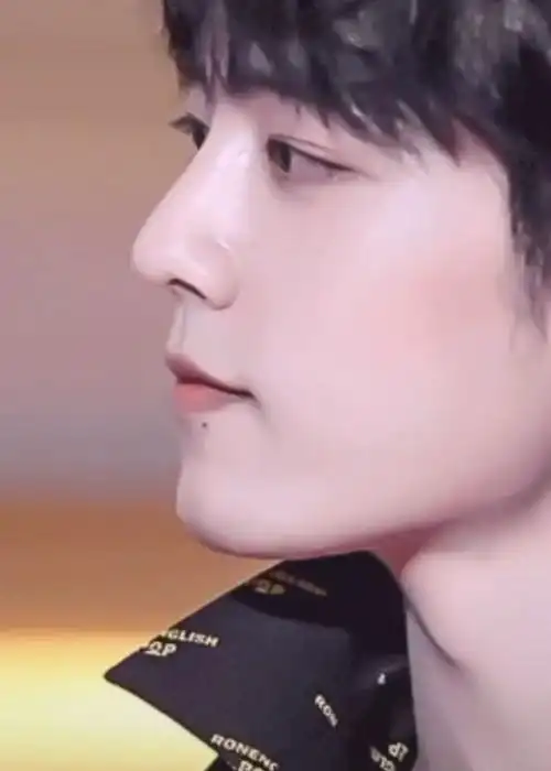 肖战的美真的是超越性别的!这个侧脸太绝了