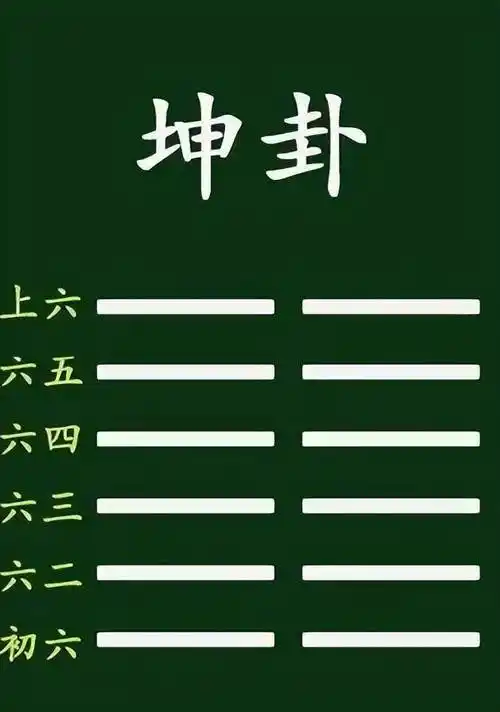 高云鹏老师讲《易经》六十四卦之坤卦(上)_传统_文化_事情