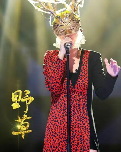 【图】蒙面歌王第一季野草夺冠 选秀超女谭维维一朝蜕变成歌后