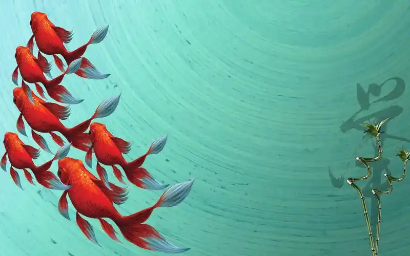 幸运的锦鲤,高清图片,电脑桌面-壁纸族