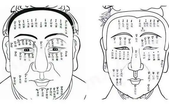 男人左眉毛前上方有痣代表(男人左眉毛前上方有痣代表什么图解)