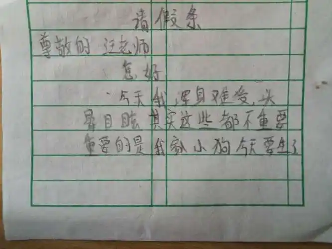 小学生"奇葩"请假理由,老师都惊讶了!