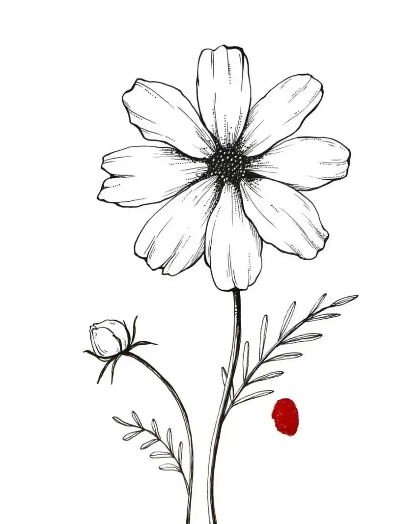 花卉手绘绘画步骤教程图|黑白插画 这种概括的打型方法能够又快又准的