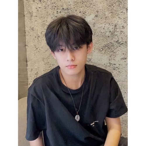 绿简堂男士微分碎盖假发 假头套男生短发碎盖头学生少年感奶狗韩系