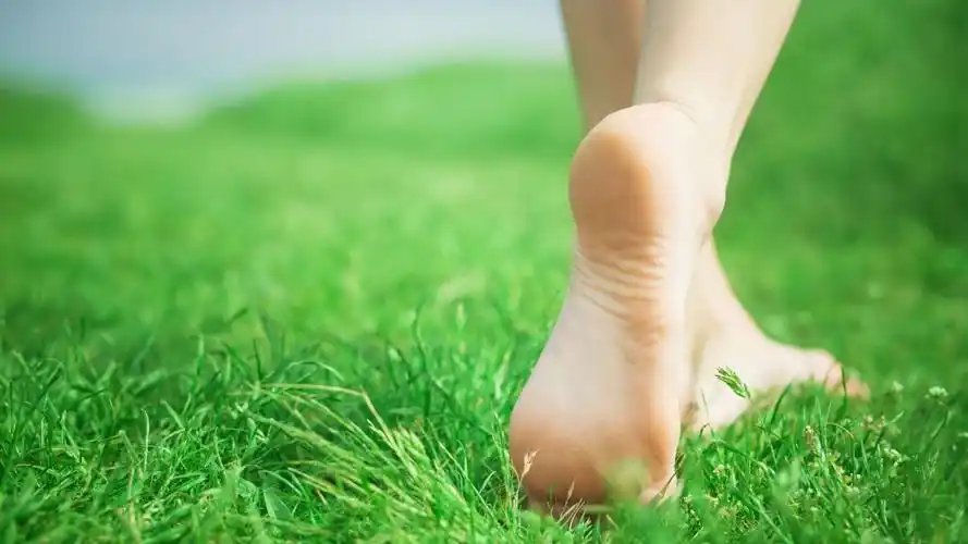 脚脚丫女孩绿草地唯美小清新壁纸