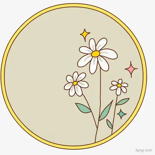 圆形装饰png素材透明免抠图片-装饰效果