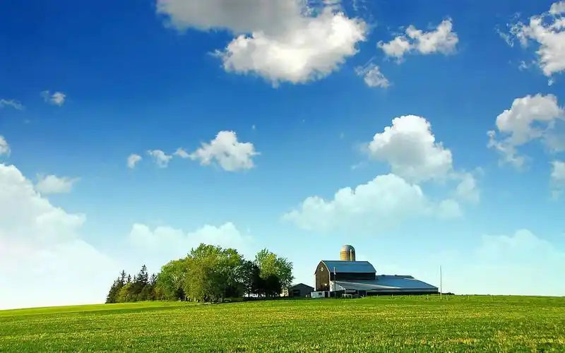 风景壁纸,绿色,护眼,高清,天空,清新,自然风光,壁纸,1920x1200