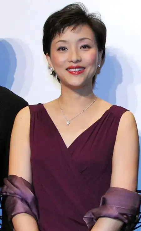 被杨澜惊艳到了一袭紫红色连体裤艳而不俗熟女魅力挡不住