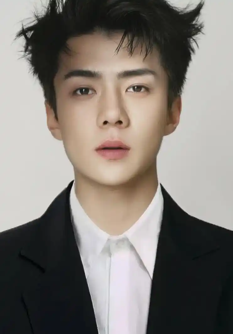 好看的人连证件照都这么好看#吴世勋 @抖音小助手 @dou  - 抖音