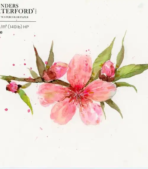 手绘水彩花卉桃花