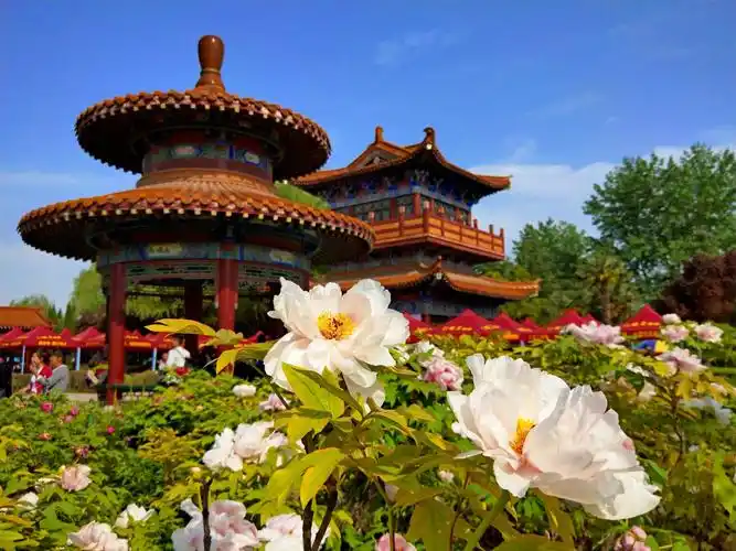 2018年4月15日河南洛阳～中国国花园