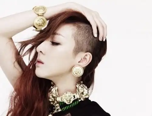 2ne1的【i love you】里的朴山多拉的半剃头的头像求.