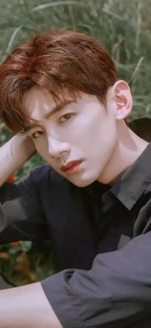 精选白敬亭壁纸