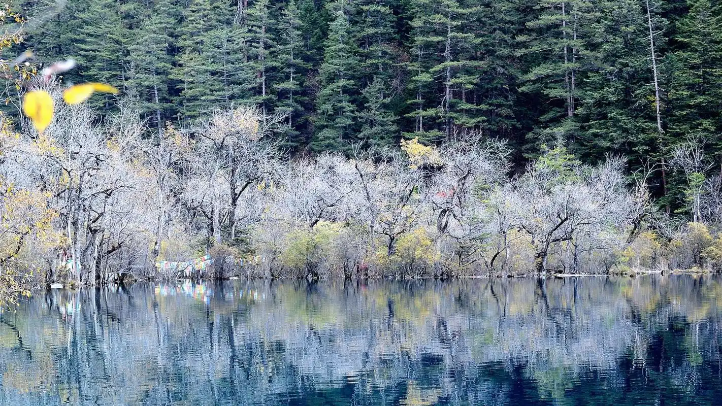 四川九寨沟风景宽屏高清电脑桌面壁纸