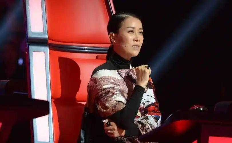 "直面《罗刹海市》,那英向刀郎郑重道歉",网上突现致歉信_网络_批评