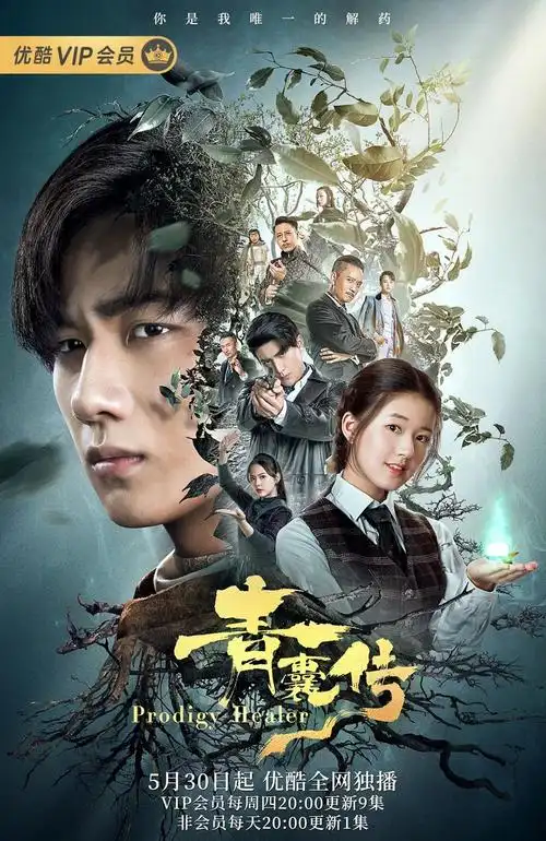 差异化题材抢占网剧市场高点,《青囊传》如何用新,奇,优精准对胃年轻