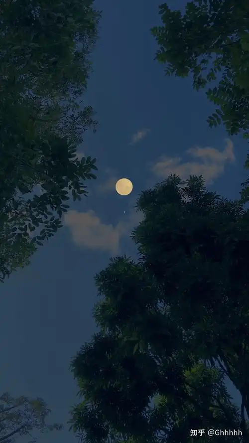 一组森系背景图来啦 记得给生活加点甜99