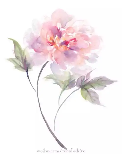 作者:白珊瑚coral 中国风插画 古风 古韵 水彩 花卉 花间 插画 转自