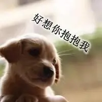 好想你抱抱我带字图片 亲爱的过来抱抱我唯美图片【点击鼠标右键下载