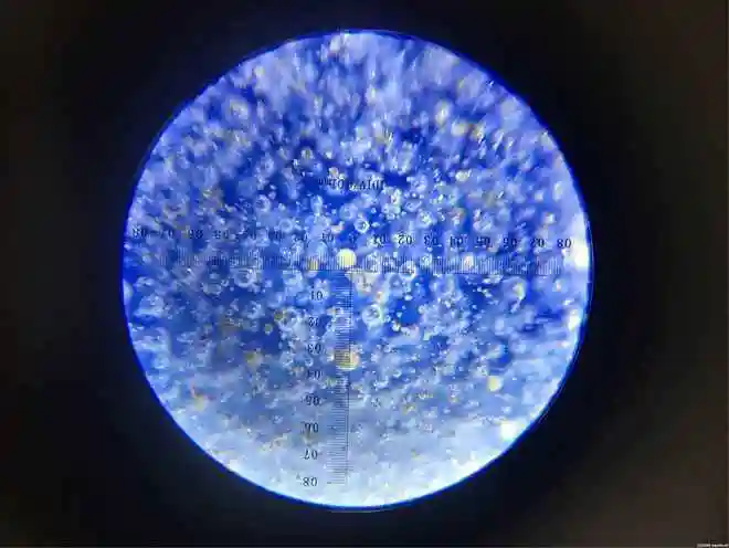 判断新老瓷器的正确方法有技巧