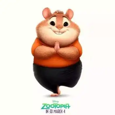 《疯狂动物城》里主配角们日常练瑜伽的美照大曝光,暖翻了.