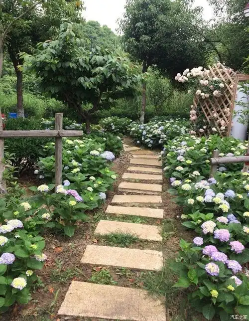 [无锡长安车友会]驾15,访多多花园