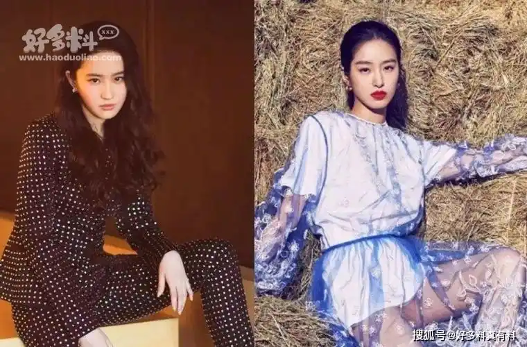 原创刘亦菲和杨采钰是什么关系 两个人的长相为何如此相似