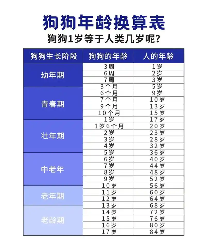 狗狗年龄换算表,花一分钟了解狗狗的一生#狗狗 #宠物知识 # - 抖音