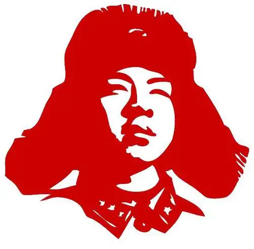 (采访记录)老南今天采访了沈师雷锋访谈会