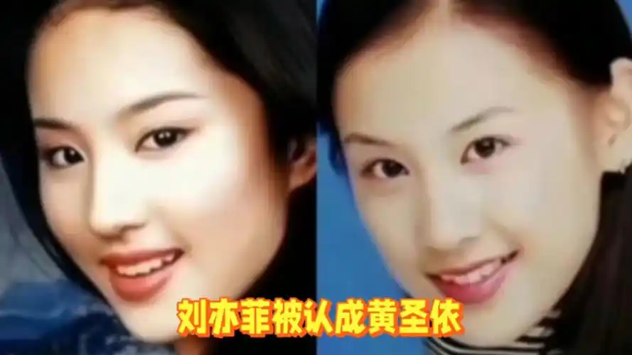 刘亦菲被认成黄圣依
