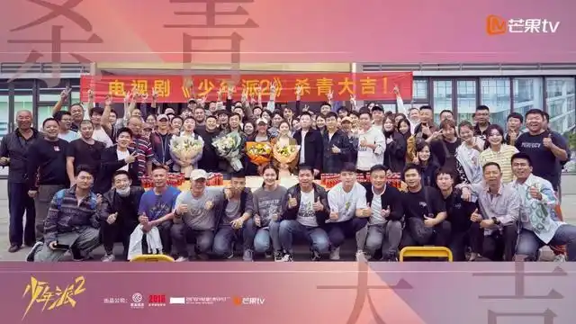 厦门雷海观浪影视传媒有限公司等出品的都市家庭教育类电视剧《少年派