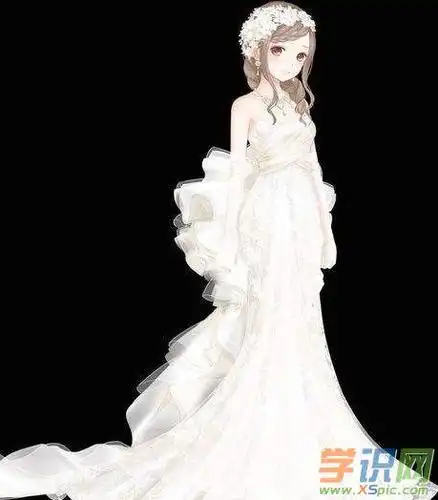 十二星座中双鱼座女生婚纱的图片