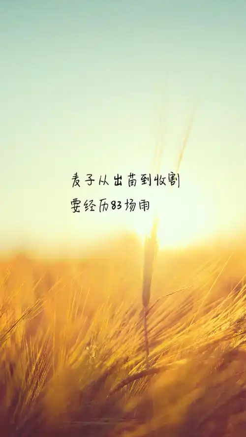 文字心情高清宽屏手机壁纸