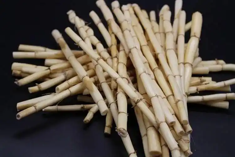 鲜芦根的功效与作用