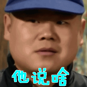 他说啥小岳岳岳云鹏gif动图_动态图_表情包下载_soogif