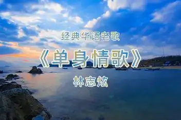 林志炫 - 单身情歌(2)_百度视频搜索